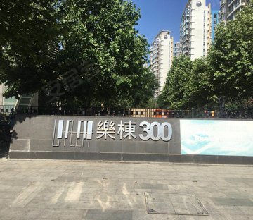 乐栋300