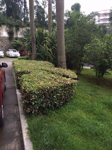 金沙花园,西林西二里31-38号-厦门金沙花园二手房,租房,房价-厦门安居