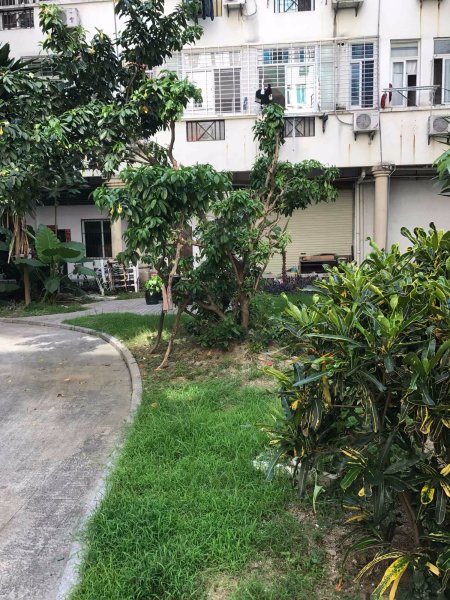 学林雅苑,龙虎山路555-557号-厦门学林雅苑二手房,租房,房价-厦门安居