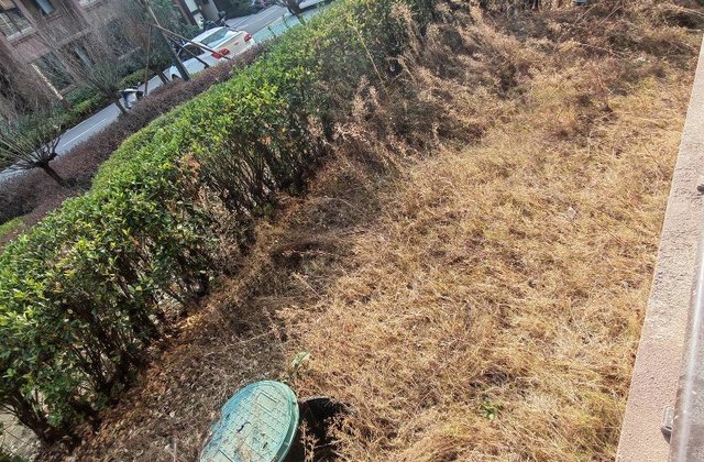 清华未来城3室2厅110.37㎡56.2万二手房图片