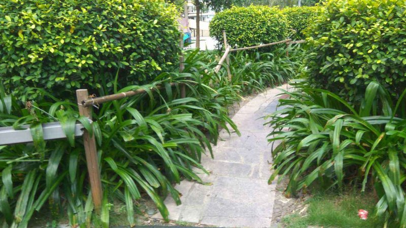 丹翠欣苑小区