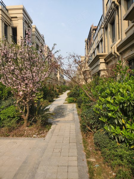 中梁百悦城(别墅)