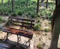 东陆安居苑九街坊