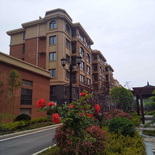 中兴山水城(北区),中兴大道,近长青路-枣庄中兴山水城(北区)二手房