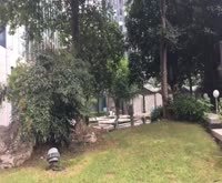 大都会(公寓住宅)