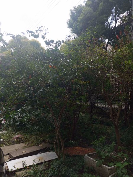 汇众公寓(浦东) 