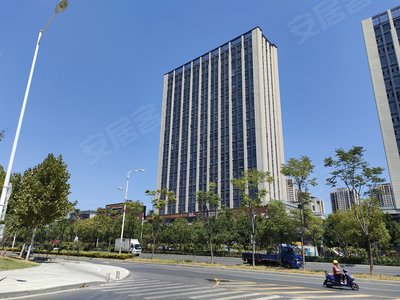 新站广场,新蚌埠路,近淮海大道 - 合肥新站广场二手房,租房,房价-合肥