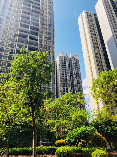 凤凰春天花园,清远大道-清远凤凰春天花园二手房,租房,房价-清远安居