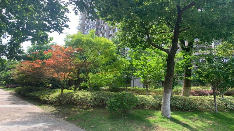 柏庄丽城,九华南路,近文昌东路-芜湖柏庄丽城二手房,租房,房价-芜湖