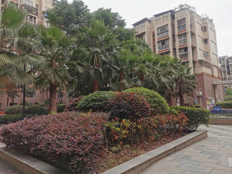 金地花园(简阳)