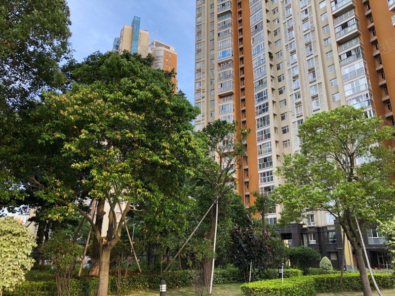 海景国际花园(星域),江滨北路1号-泉州海景国际花园(星域)二手房,租房