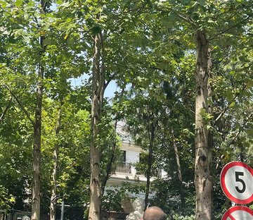 远中风华园(别墅)