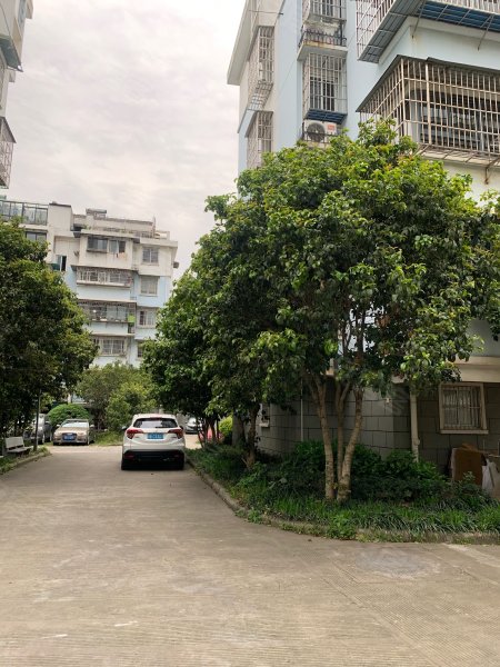 姚江花园(江北)