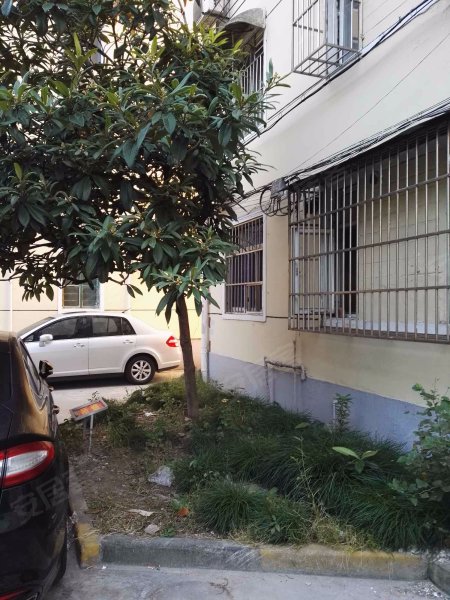 杨思路562,582,592,602号小 