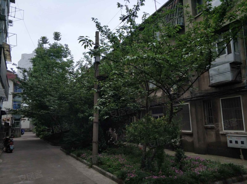 永安路3-34号小区,永安路,近火坛楼巷-镇江永安路3-34号小区二手房