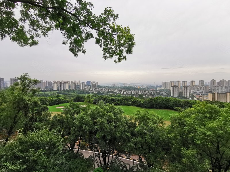 碧桂园天麓,悠然路333号-重庆碧桂园天麓二手房,租房,房价-重庆安居客