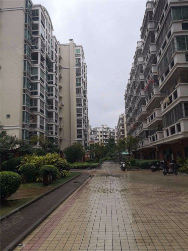 金汇花园二期,灵狮中路76号 - 石狮金汇花园二期二手房,租房,房价