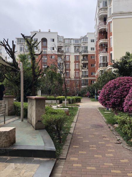 竞达星光雅园,人民东路,近虹桥路-昆明竞达星光雅园