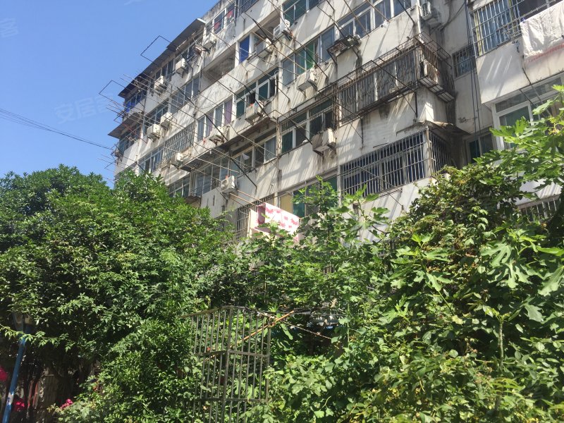 杏花南区,淮河路490号-上海杏花南区二手房,租房,房价-上海安居客
