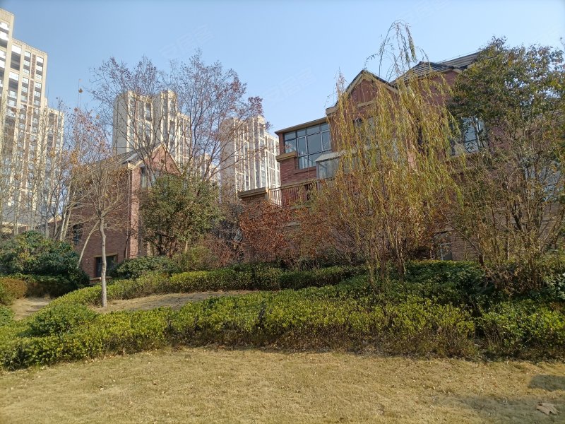 森林半岛(南区),一大街-开封森林半岛(南区)二手房,租房,房价-开封