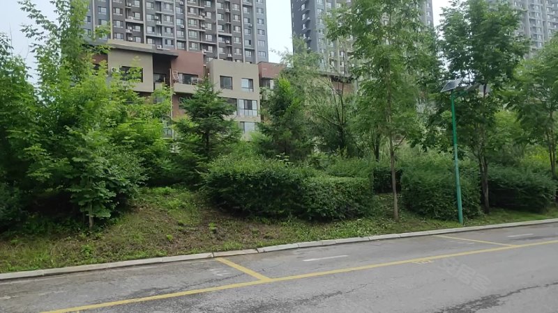 丰远玫瑰城二期,营口路,近台安街-抚顺丰远玫瑰城二期二手房,租房