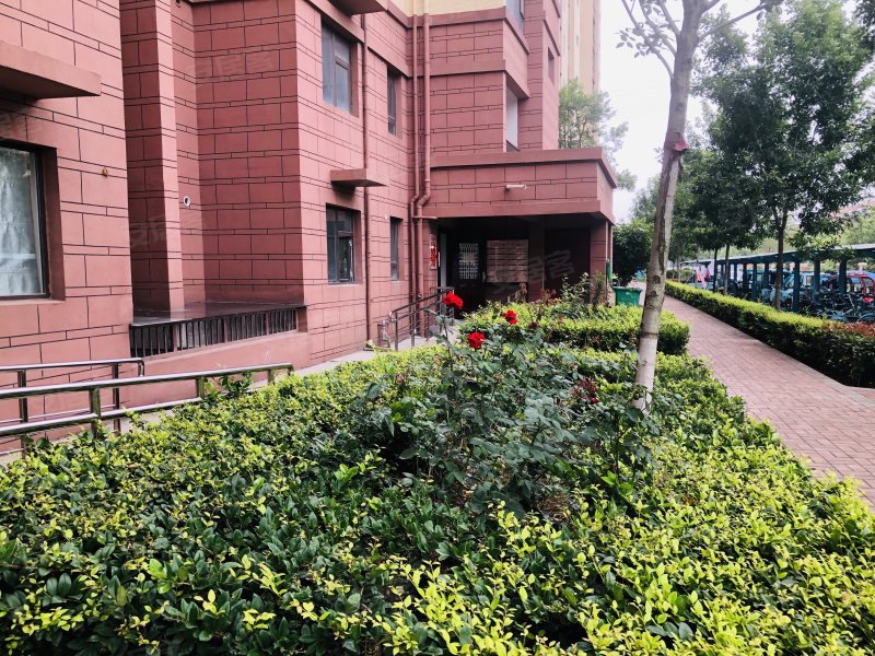 青啤龙悦湾,滨河路-临沂青啤龙悦湾二手房,租房,房价-临沂安居客