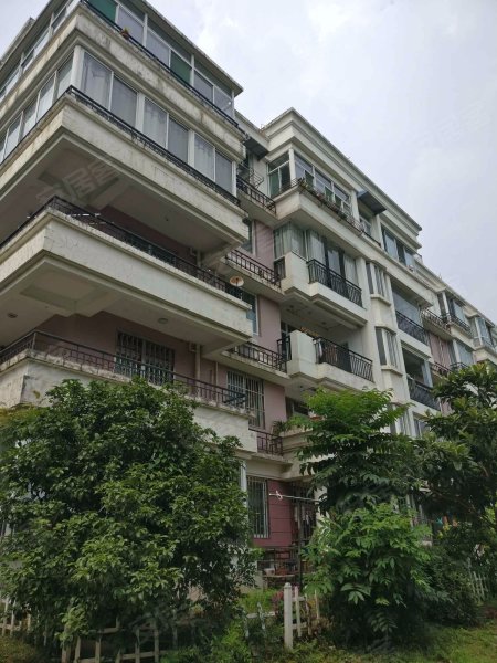 梦园小区(蜀山),海关路15号-合肥梦园小区(蜀山)二手房,租房,房价