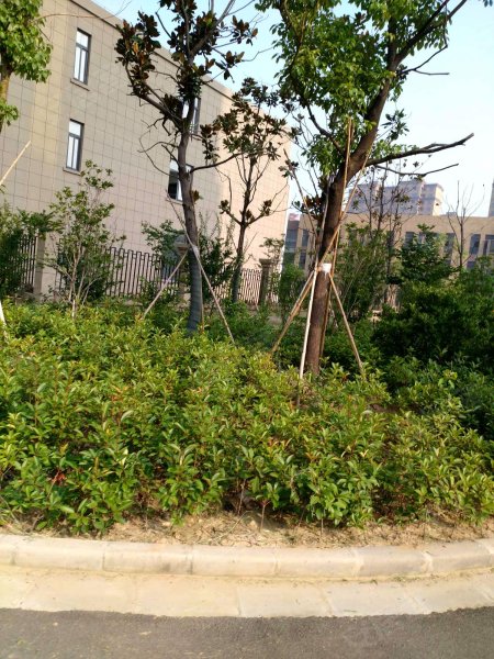 奥都花园(东区)