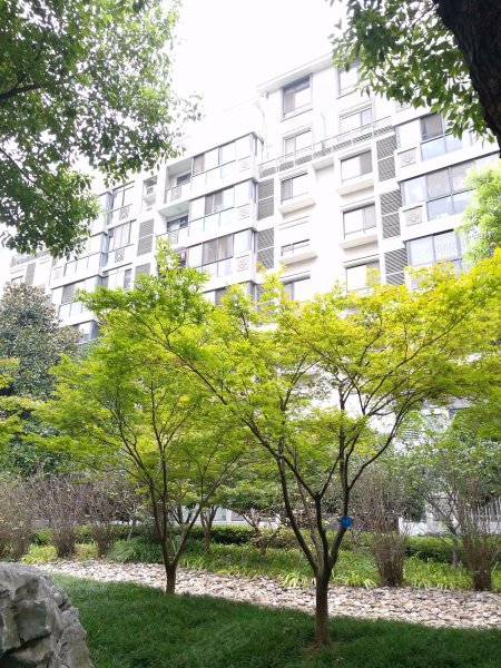 海棠园,兴隆大街199号-南京海棠园二手房,租房,房价-南京安居客