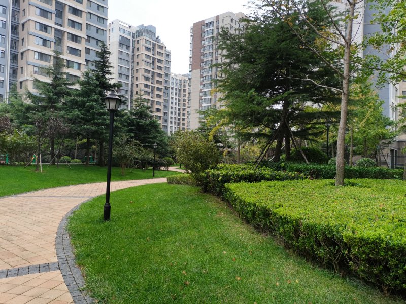 麦岛金岸,东海东路1号-青岛麦岛金岸二手房,租房,房价-青岛安居客