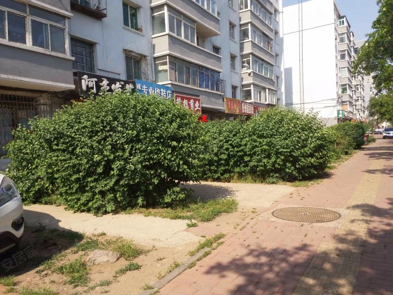 太平庄小区,崇山西路30号-沈阳太平庄小区二手房,租房,房价-沈阳安居