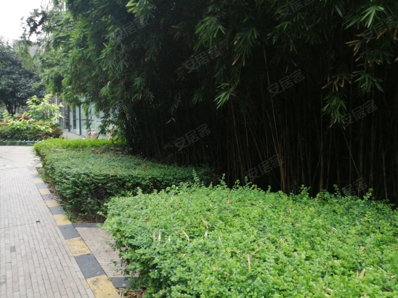 红树湾,中和大道二段69号,府兴路51号-成都红树湾二手房,租房,房价