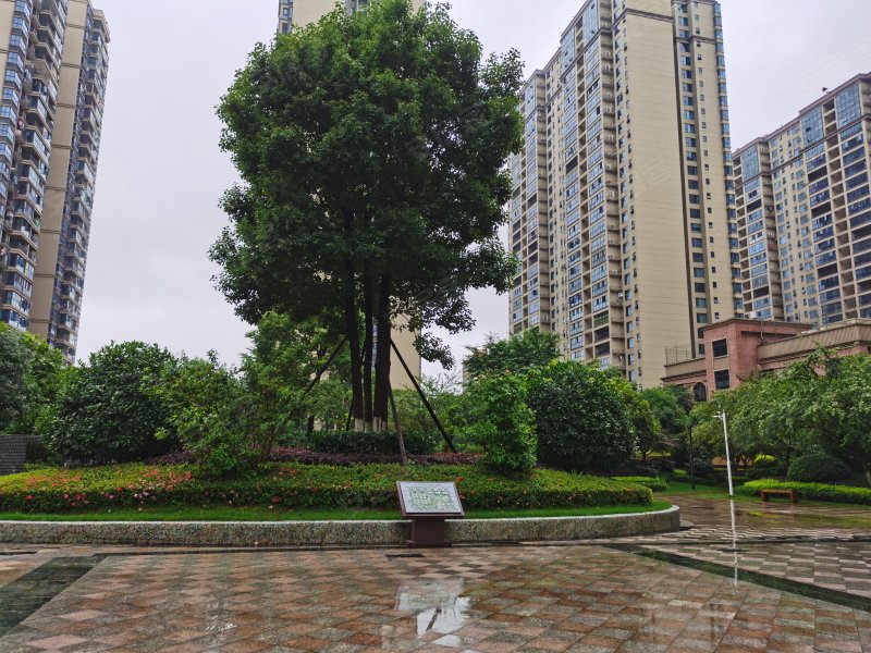 金河湾1881,立新大道-衡阳金河湾1881二手房,租房,房价-衡阳安居客