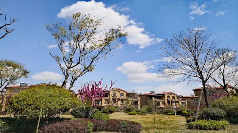 碧桂园凤凰城(西区别墅)