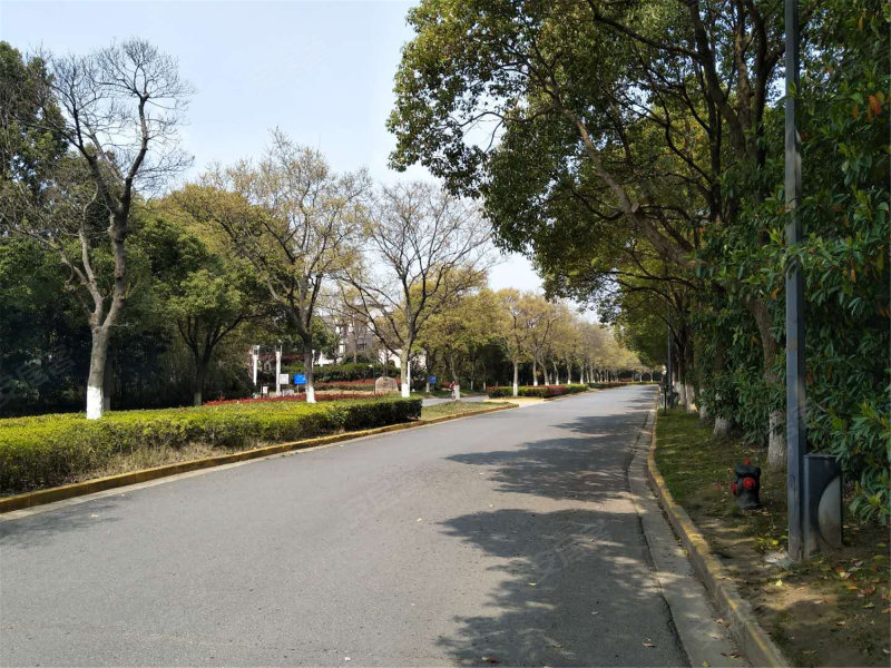 绿地21城e区(别墅)