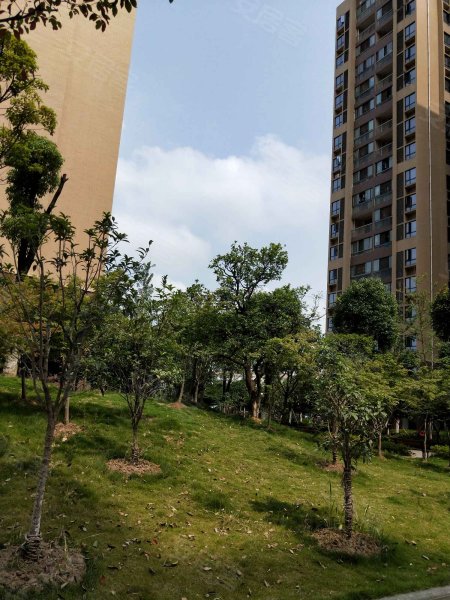 枫桦苇岸(一期),沌口路457号-武汉枫桦苇岸(一期)二手房,租房,房价