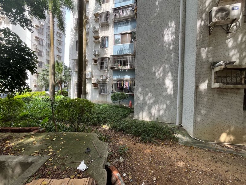 金湾花园2室1厅1卫带花园