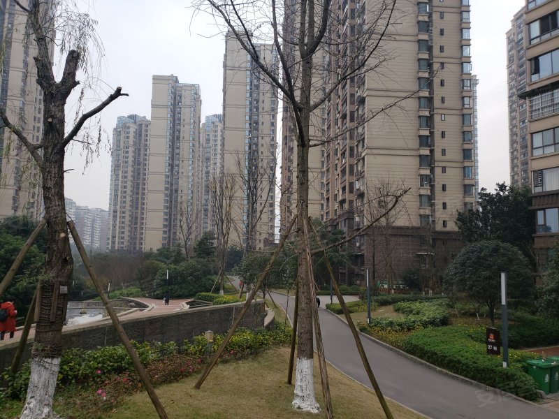 鲁能山水原著溢香谷