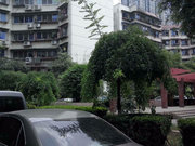 交大路小区图片