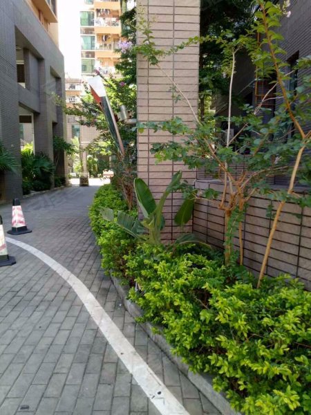 锦龙花园,爱华路21号-深圳锦龙花园二手房,租房,房价-深圳安居客