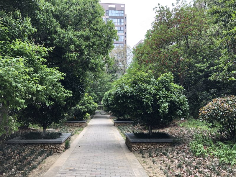 大溪地天悦轩,怀宁路-合肥大溪地天悦轩二手房,租房,房价-合肥安居客