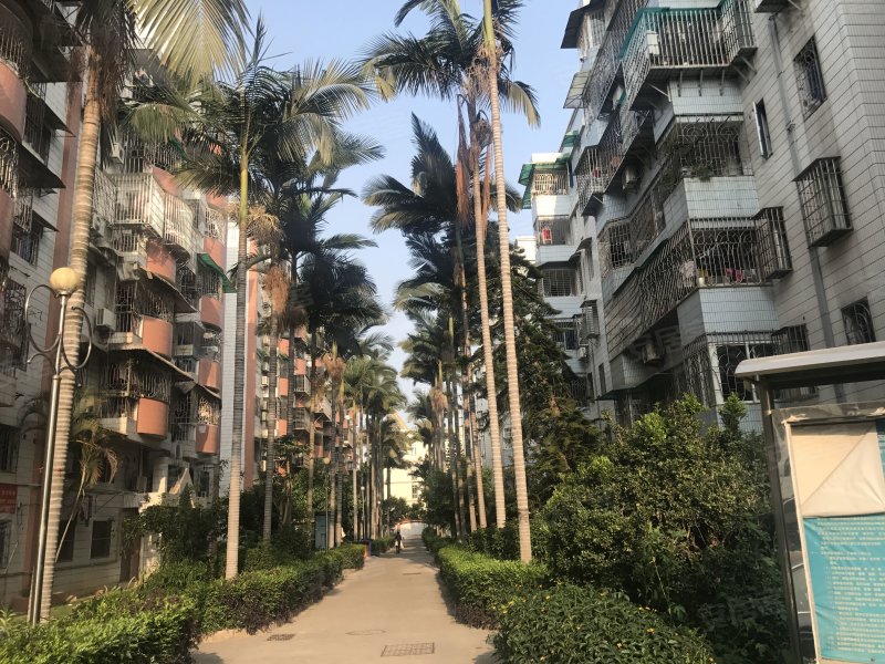 万景花园,宜宾路62-84号-厦门万景花园二手房,租房,房价-厦门安居客