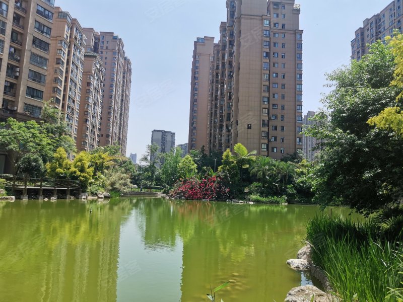 春风紫金港,高都路-南充春风紫金港二手房,租房,房价-南充安居客