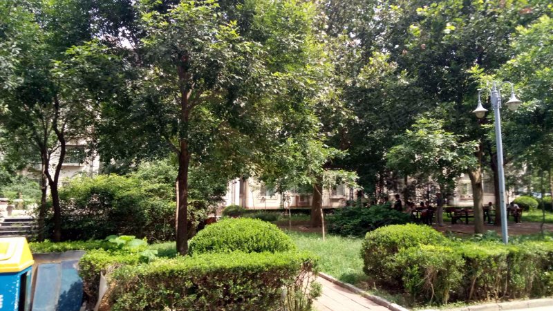 红松园北里2号院