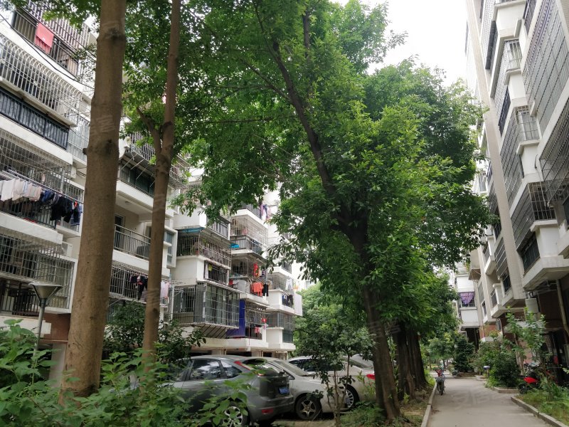 东盛花园(一期),东园二路-福州东盛花园(一期)二手房,租房,房价-福州