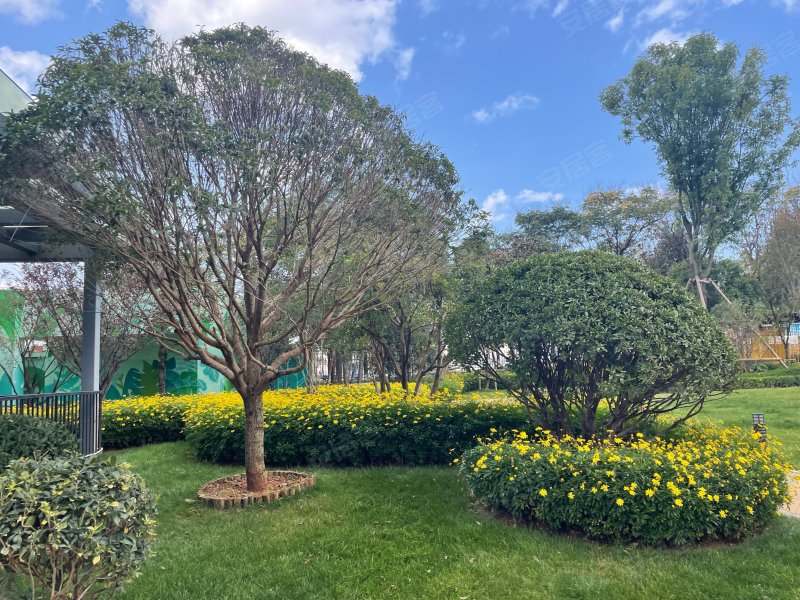 俊发城郁金苑,兴富街,近北京路-昆明俊发城郁金苑二手房,租房,房价