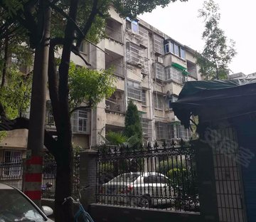 新星小区