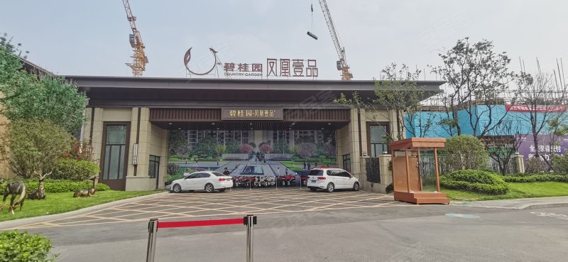 碧桂园凤凰壹品