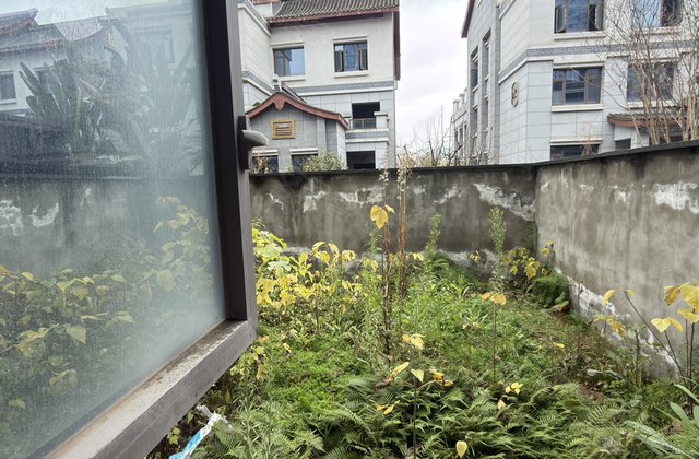 阳光1519云梦州5室3厅660㎡458万二手房图片