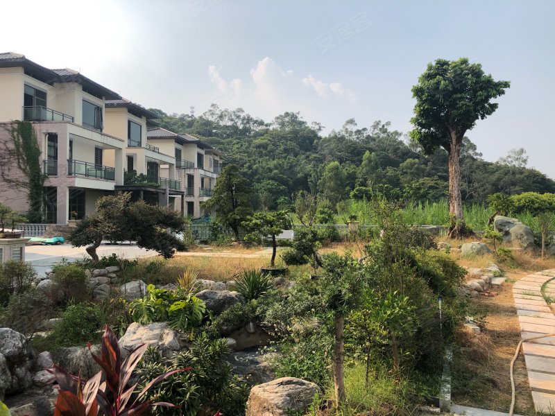 山湖雅苑(别墅),木朗大道128号-江门山湖雅苑(别墅)二手房,租房,房价